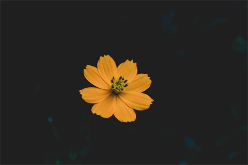 古代帮派名字大全55个