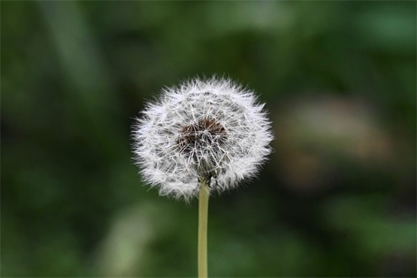 qq网名彩色蜜蜂图案