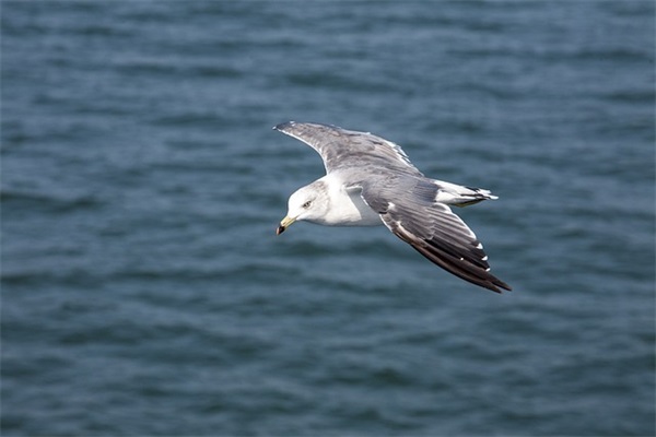女生名字 女孩起名字正确流程