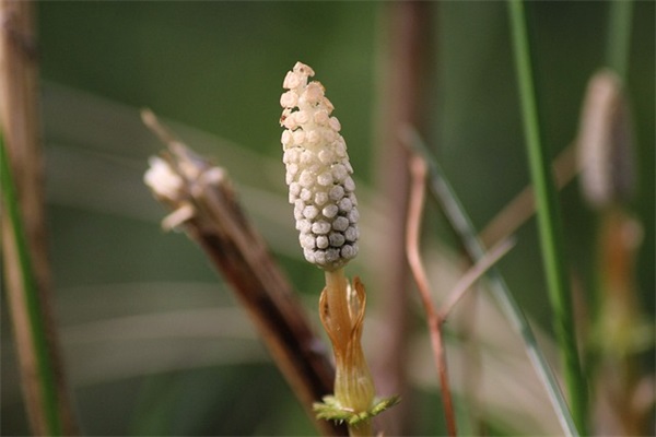 超甜的女生乳名大全,寓意可可爱爱