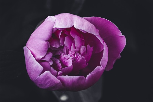 缺金的猪宝宝要怎么起小名命理好