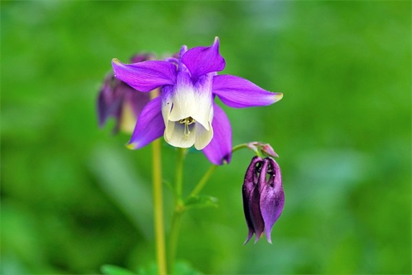 双胞胎女孩起名的3个经典方法