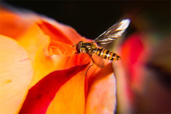 百家姓取名大全:有内涵的钱姓宝宝名字