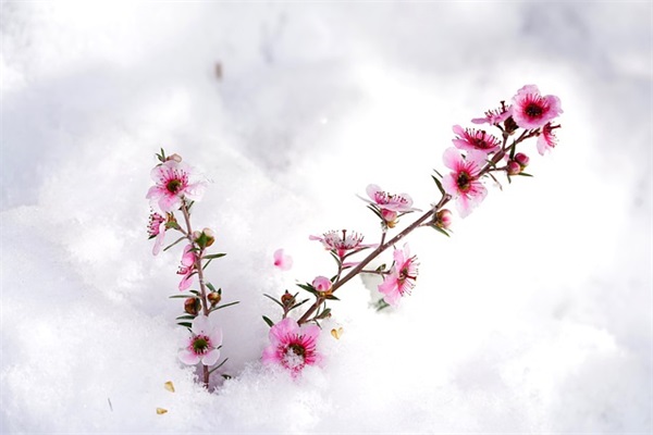 昱珩名字好吗(名字寓意及其选择)