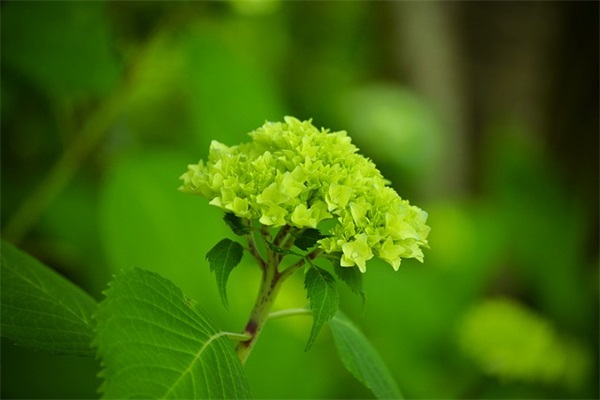 好听的女生名字 女宝宝气质优雅的名字大全