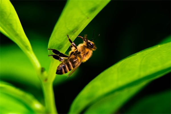 新颖有涵养的男宝宝名字