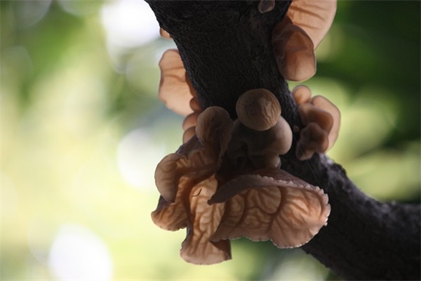 给宝宝起乳名的6种常见方法