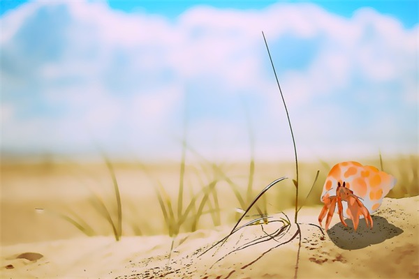 小名乳名大全:宝宝乳名案例分析