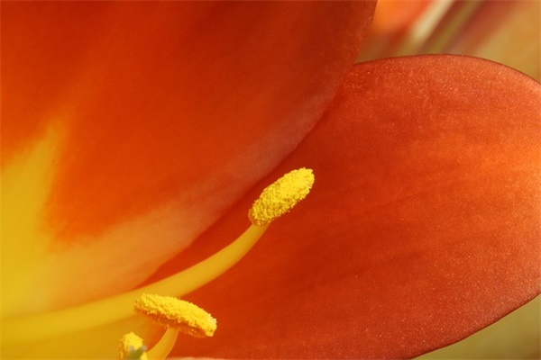 免费取名:来自易经的女孩名字