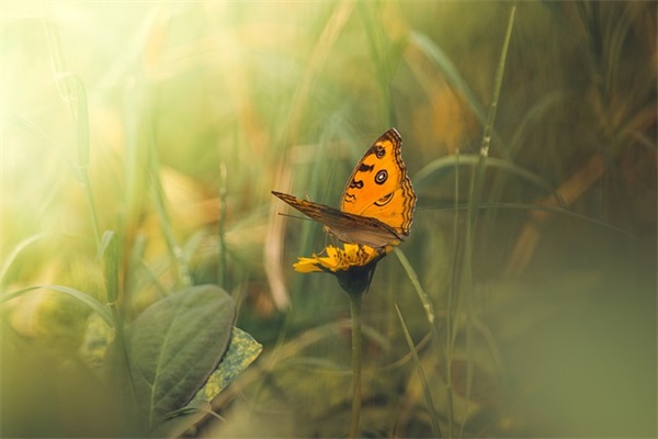 男孩名字大全:名字大全男孩