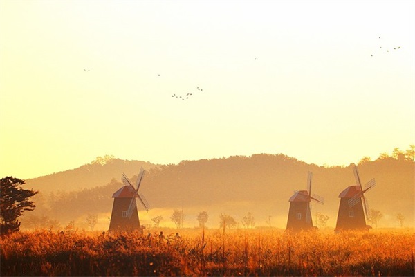 给孩子起名如何选择用字,这些用字技巧要了解