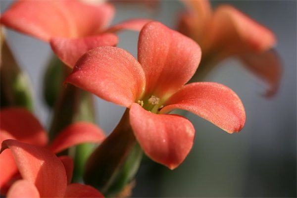 2025年潘姓女宝宝名字