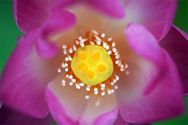 文氏男宝宝名字:三种起名方式