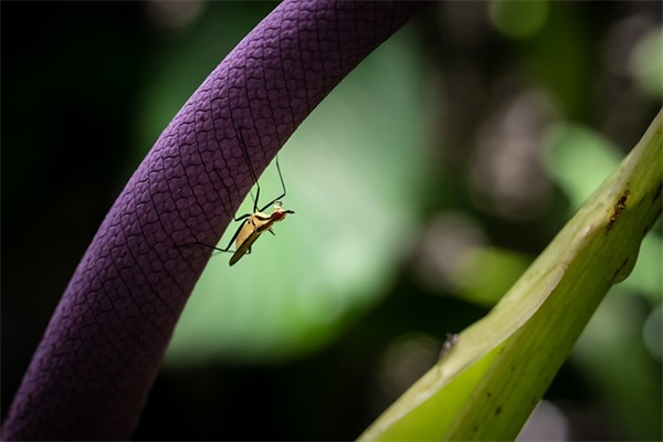 猴年宝宝起乳名方法