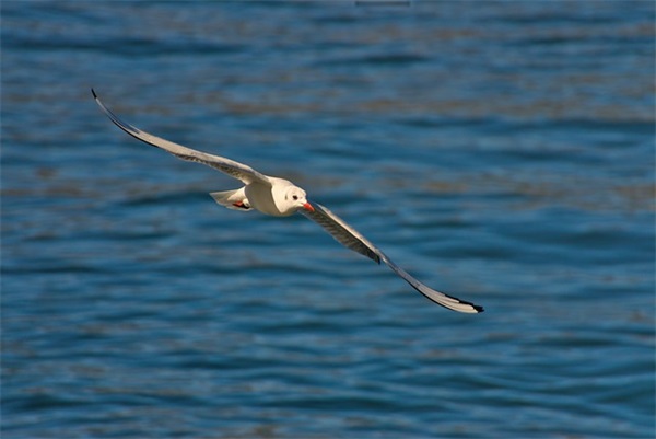 给孩子取好听小名的六种方法