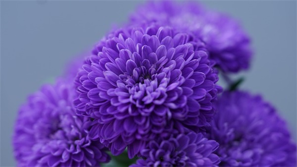 年两个字涂姓女宝宝名字大全