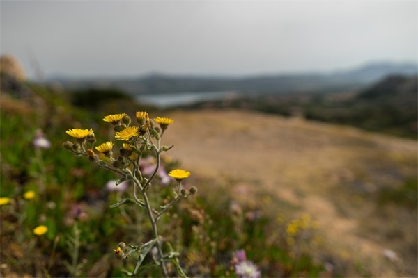 萧姓男孩名字大全
