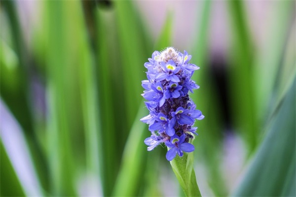 羊年出生的孩子 怎么取乳名