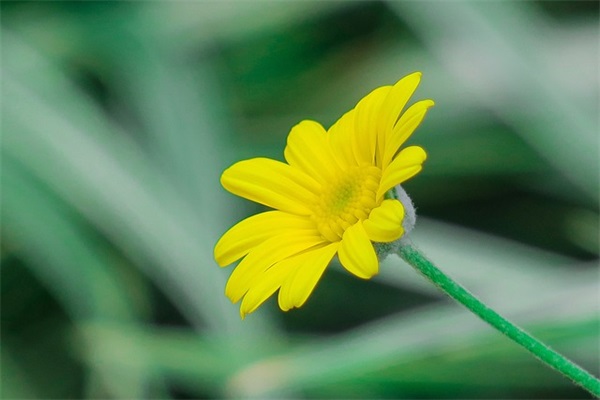 神气的宝宝好名字(下)