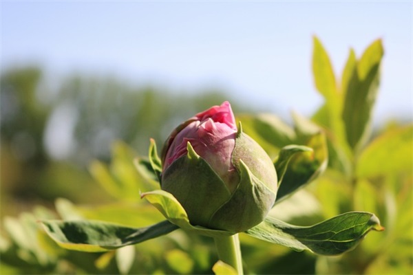 周易取名:好听又有内涵的男孩名