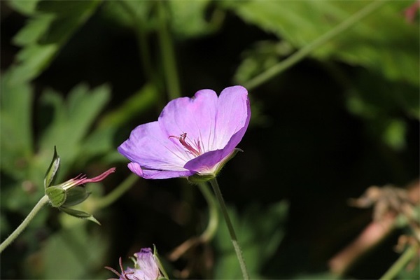 辰时出生的宝宝名字大全