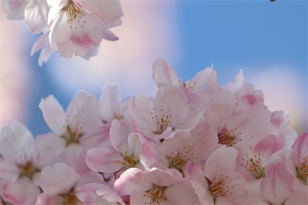 小孩起名取名:属鼠好听的男孩名字