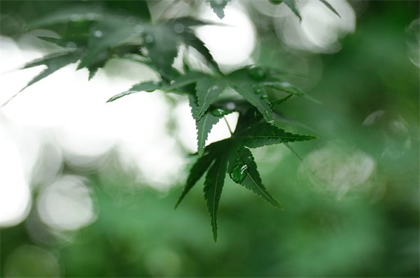 牛年小孩起名 幸福、吉祥的小孩名字