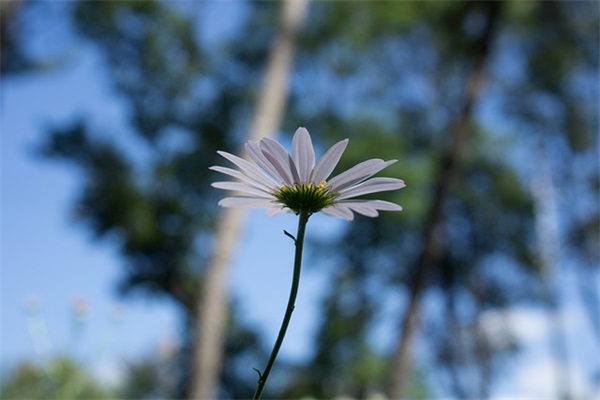 好听的猴年女宝宝名字大全