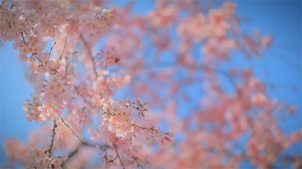 男孩起名:有寓意的男孩名字大全