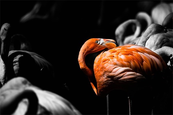 百家姓取名大全:姓孙的男孩名字