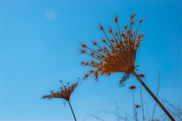 男孩名字大全:鸡年宝宝大气的名字一览