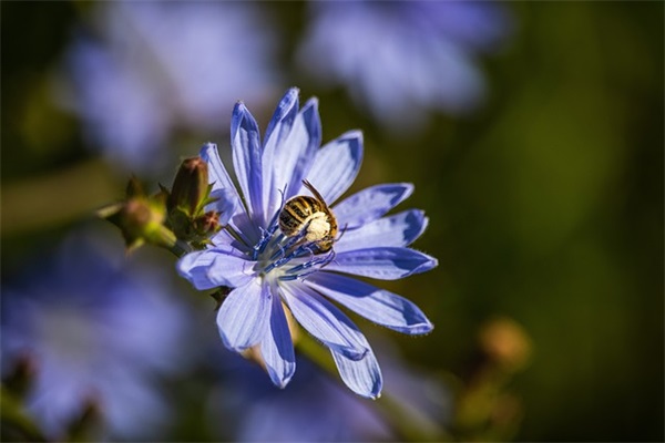 女宝宝姓张怎么起名寓意聪明?张姓女宝宝好的名字参考