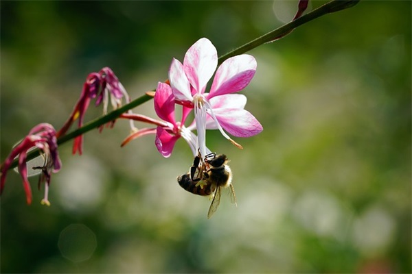 小名乳名大全:如何给女宝宝起小名