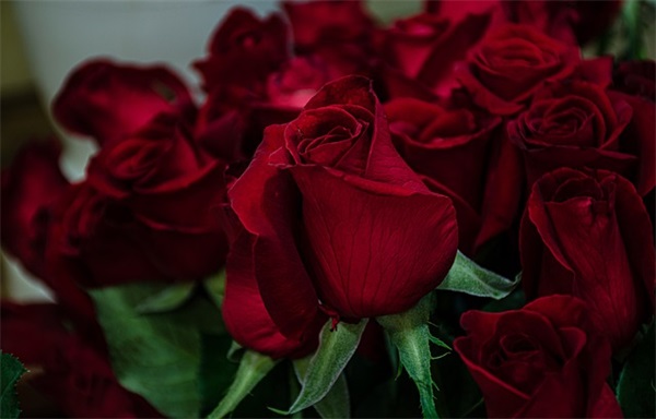 带权字的qq网名