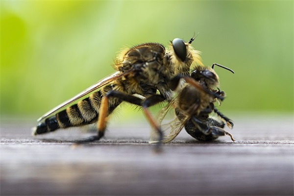 带眷恋的QQ网名