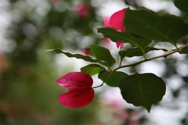 带得嘞的网名男