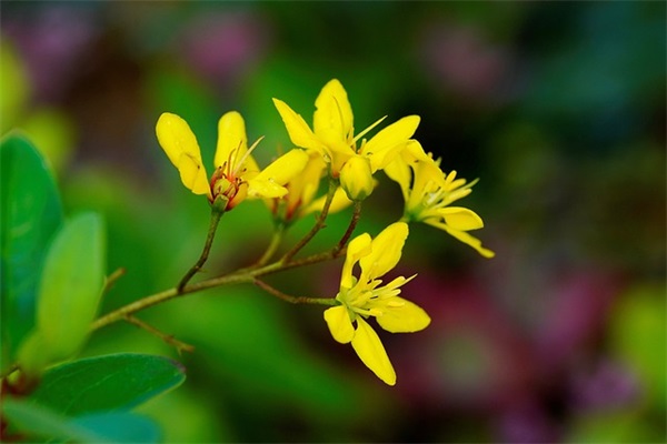 带线条的网名情侣专用