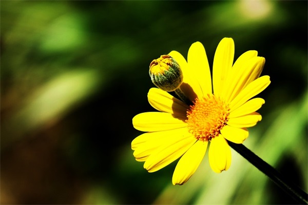 有品味女人的网名推荐206个