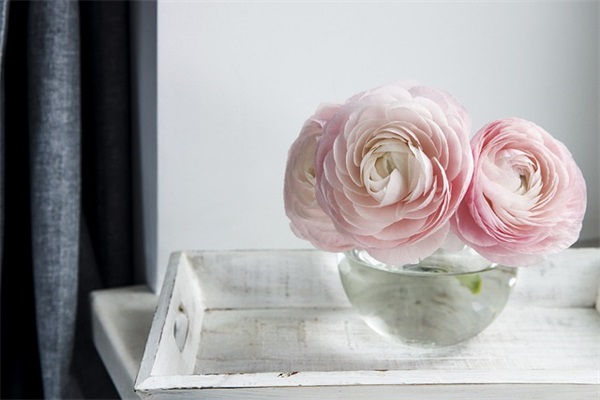 有哲理的个性签名