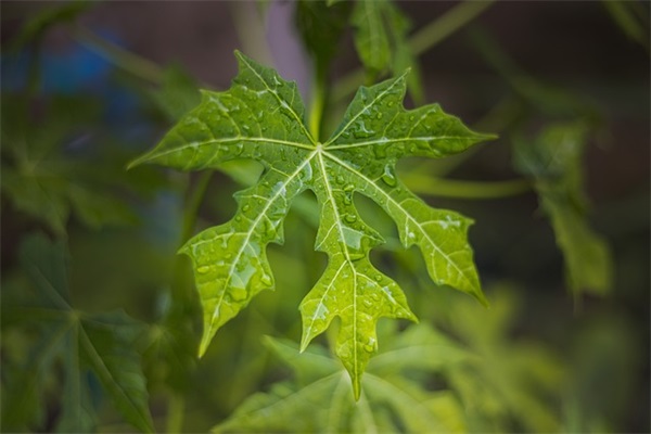 2025年最火爆的网名大全(共1174个)