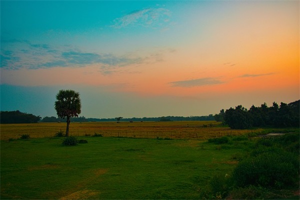 带姓氏柏的网名女生