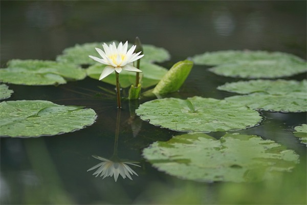 带姓氏的3字网名男孩