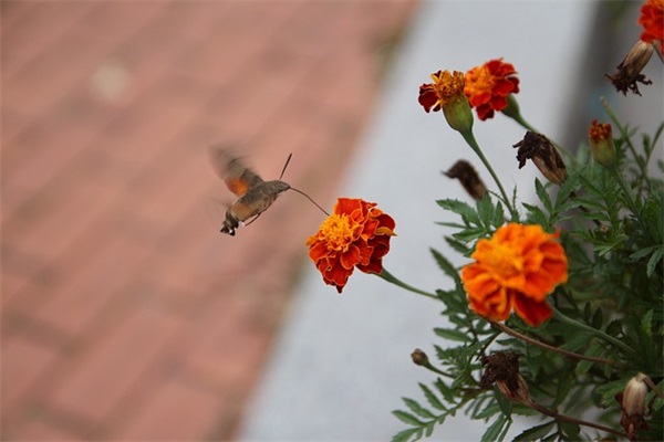 带姓氏的朴实网名女