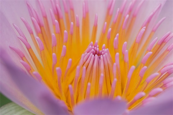 带姓氏的双字网名