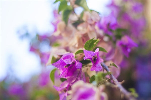 带希字的网名个性网