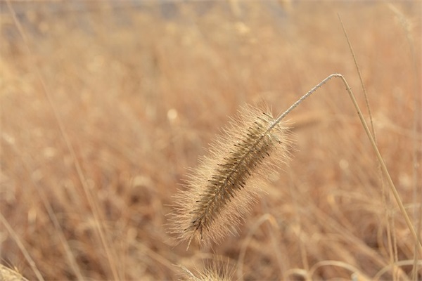 带凡的个性网名