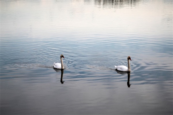 带雨的温柔个性网名