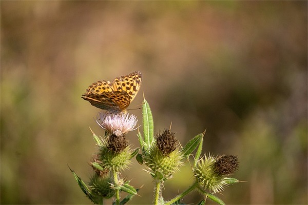 内涵重口味名字大全(322个)
