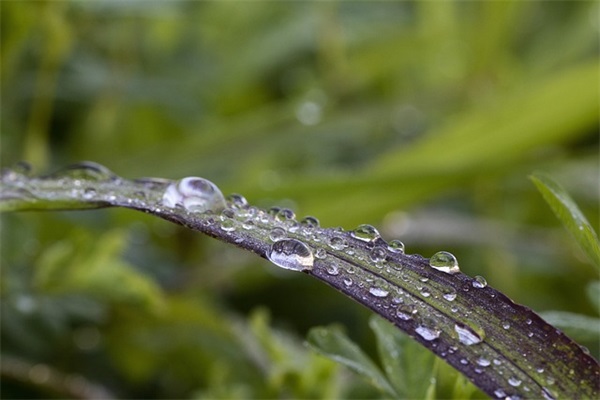 励志2026网名(369个)