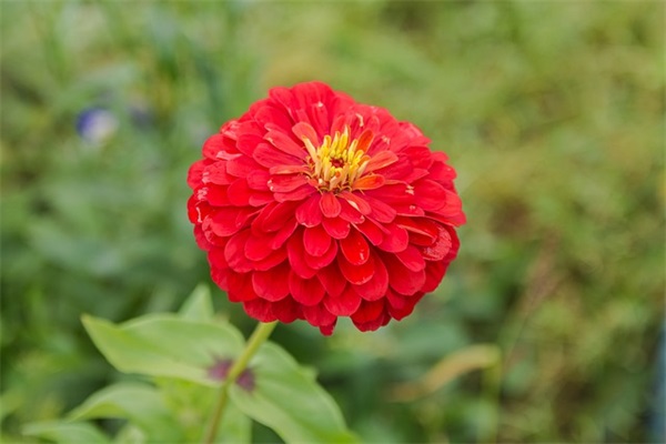 情侣网名游戏名字大全(精选234个)